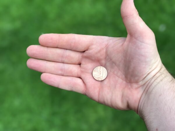 Social Media Alchemists: Turning Trends Into Gold