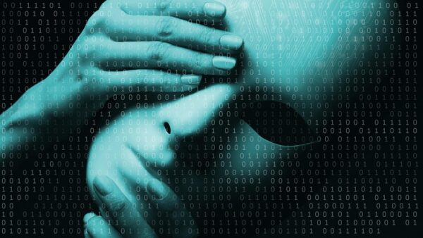 Beyond The Algorithm: Curating ML Features For Success