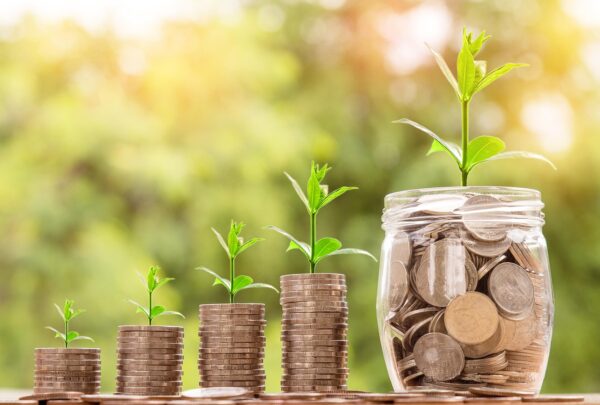 Domain Flipping: Beyond Parking, Towards Portfolio Mastery