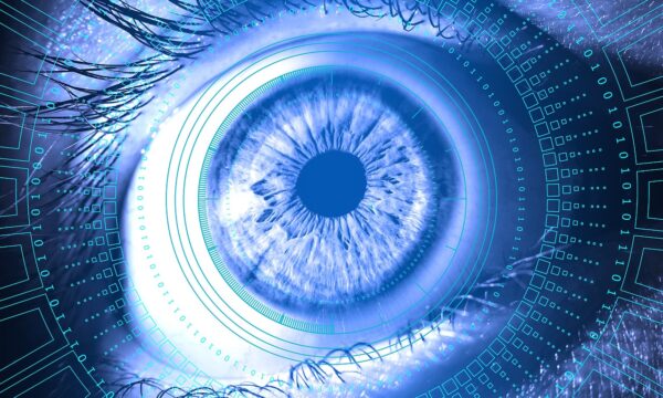 AI Content: The Human-Machine Creativity Frontier