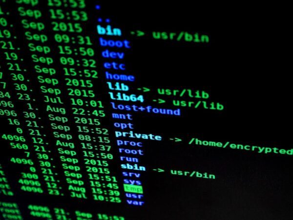 AIs Code Renaissance: Languages Learning To Program