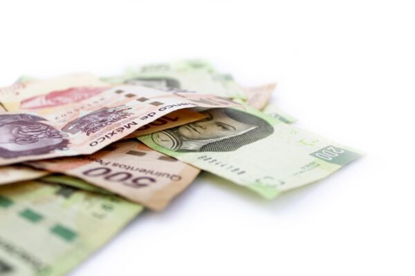 Beyond The Byline: Carving Your Niche In Freelance