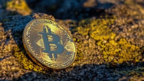 Beyond Robo-Advisors: AIs Bespoke Wealth Revolution