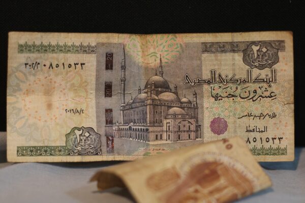 AI Robo Advisors: Democratizing Wealth, Disrupting Tradition.